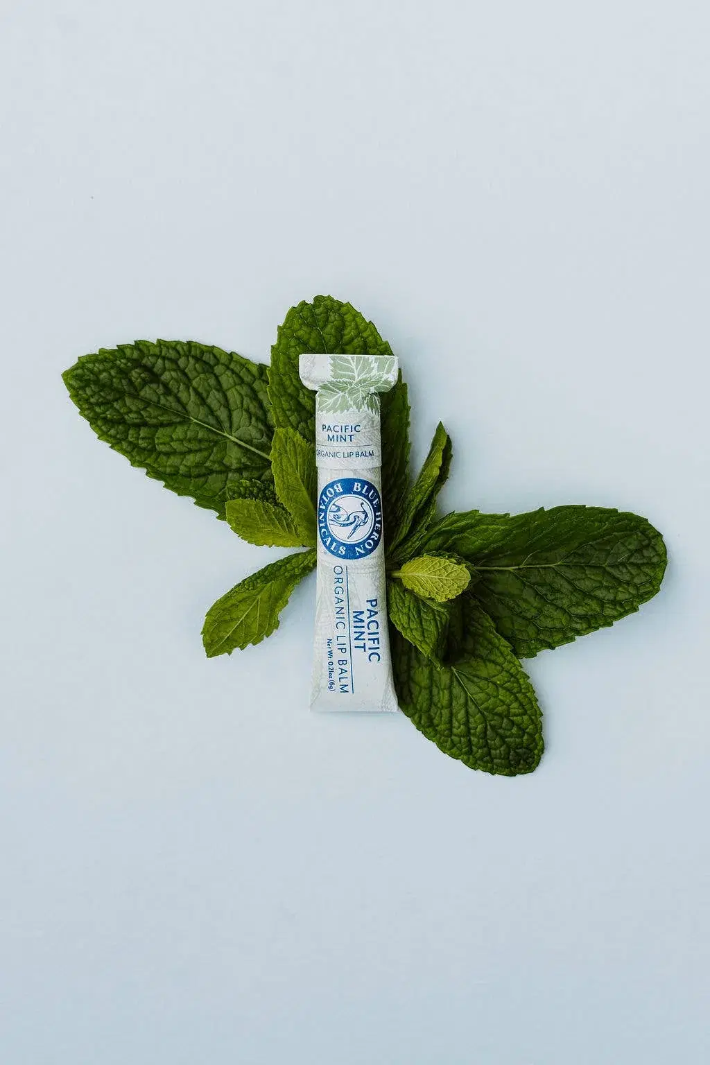 Organic Lip Balm - Pacific Mint - Image 2