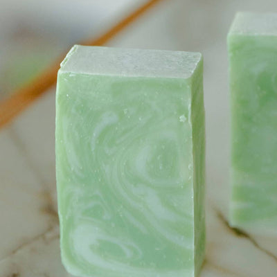 Moisturizing Vegan Body Wash - Aloe & Coconut Milk