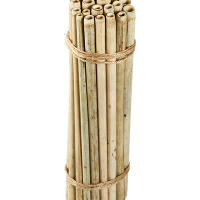 Single Bamboo Straws